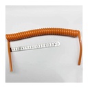 نعناع بولو 12جم